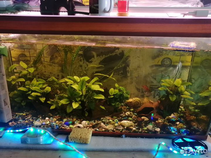 Аквариум 180л. с рыбками