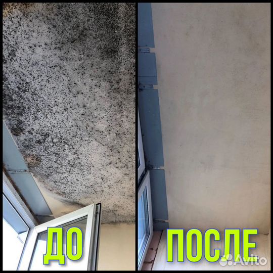 Дезинсекция / Дезинфекция / Уничтожение тараканов