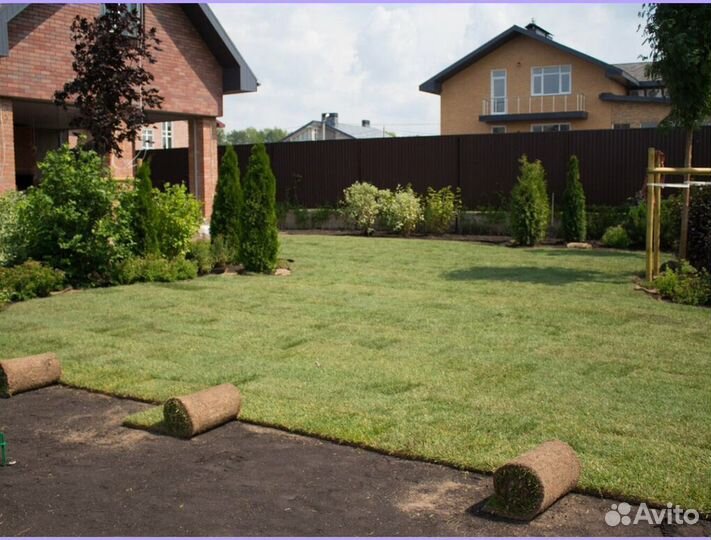Рулонный газон под ключ Стандартный
