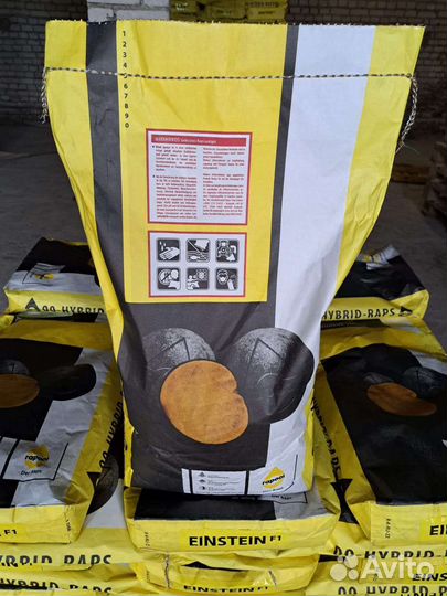 Продам семена рапса