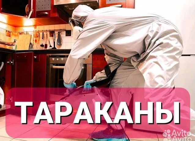 Уничтожение тараканов клопов Дезинфекция Травля