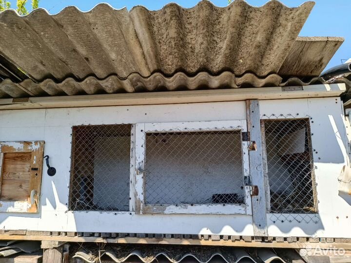 Клетки для кроликов