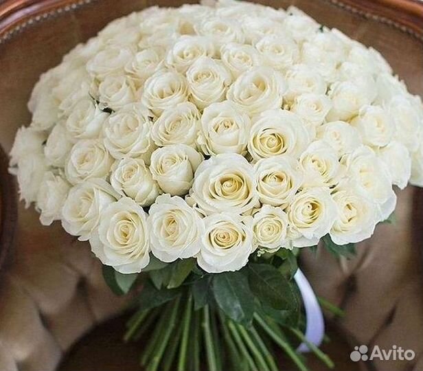 Высокие Розы Гиганты Доставка Круглосуточно