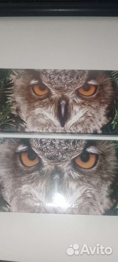 Палетка теней