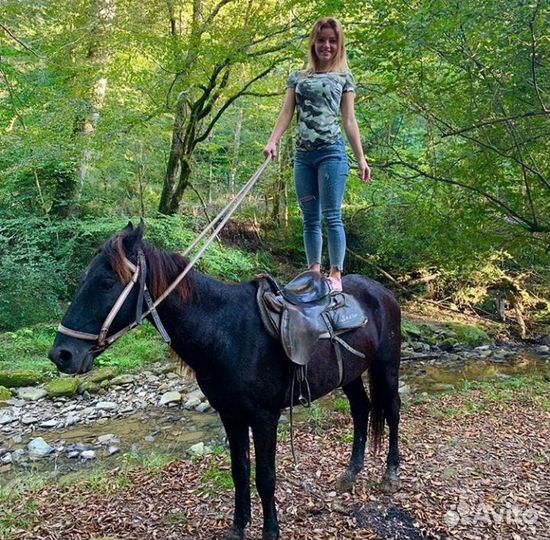 Конные прогулки