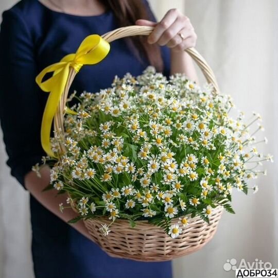 Ромашки с доставкой