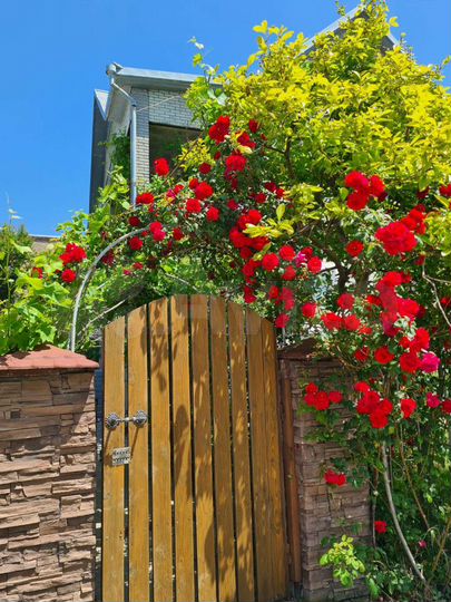 Комната 30 м², 1/3 эт.