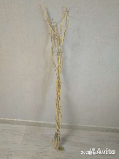 Декоративные ветки