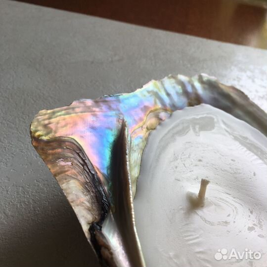 Свеча в раковине