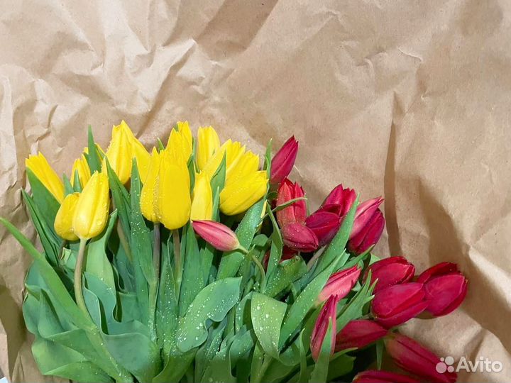 Розовые тюльпаны