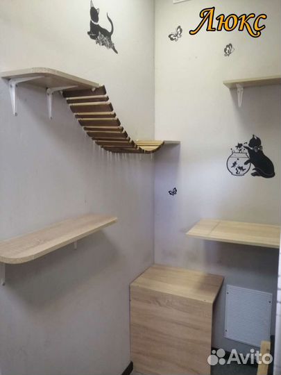 Зоогостиница (передержка) для кошек, грызунов