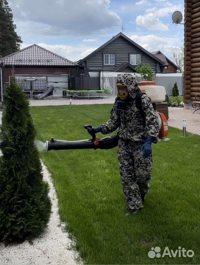 Уничтожение клопов тараканов муравьёв блох клещей