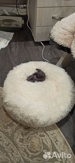 Лежанка с подогревом