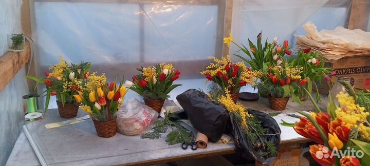 Корзинка с тюльпанами и мимозой