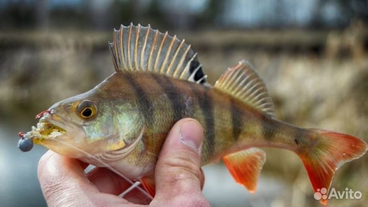 Рыбалка с лодки