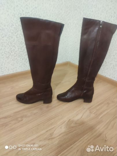 Сапоги женские