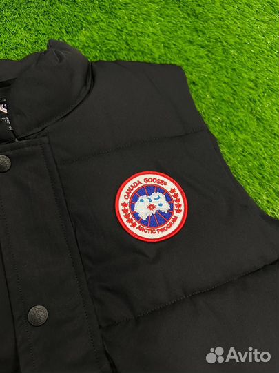 Мужская Жилетка canada goose