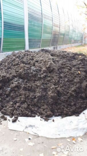 Навоз на садовый участок