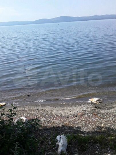 Дом 56 м² на участке 18 сот.