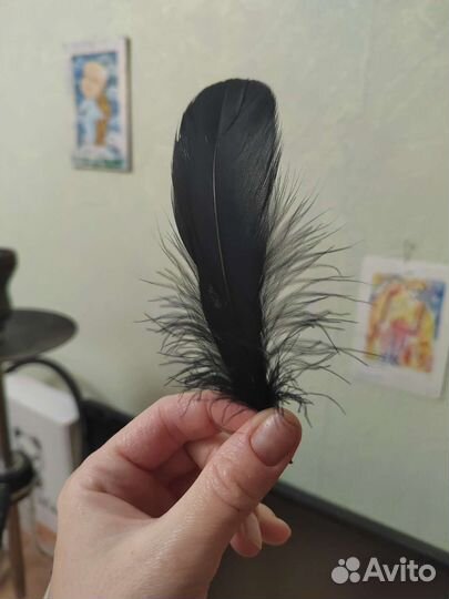 Перья декоративные
