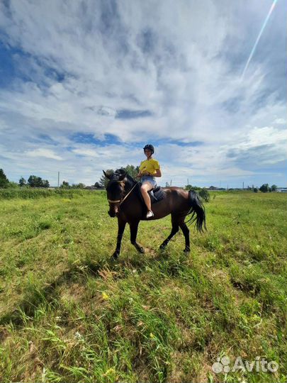 Конный поход, конные прогулки
