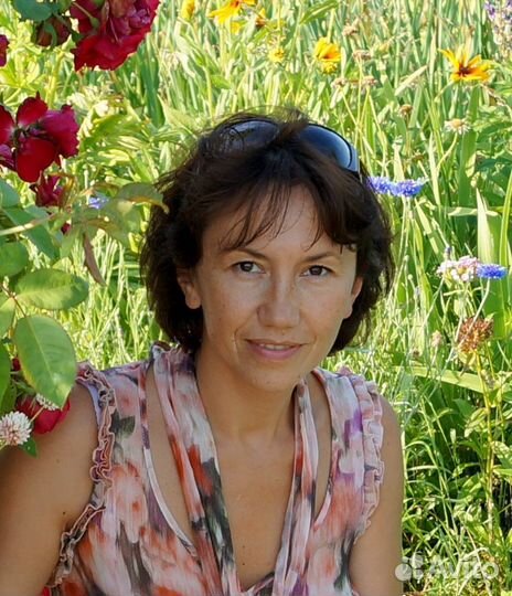 Бухгалтер, администратор, веб-разработчик WP