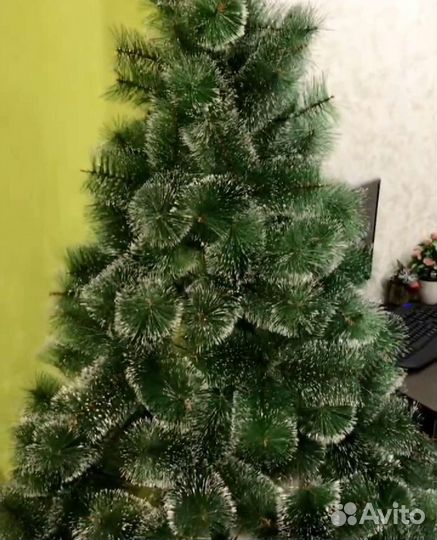 Сосна с эффектом снега