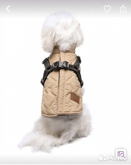 Жилетка для собак