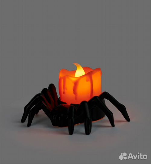 Ночник паучок