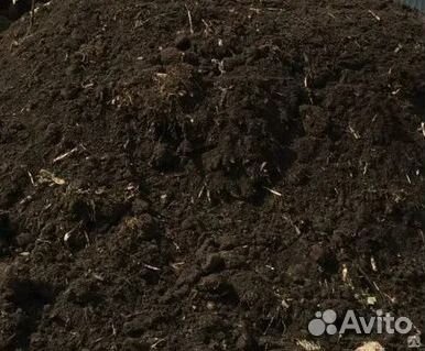 Перегной