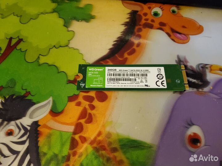 Ssd,WD Green SATA ssdM.2 2280 240GB