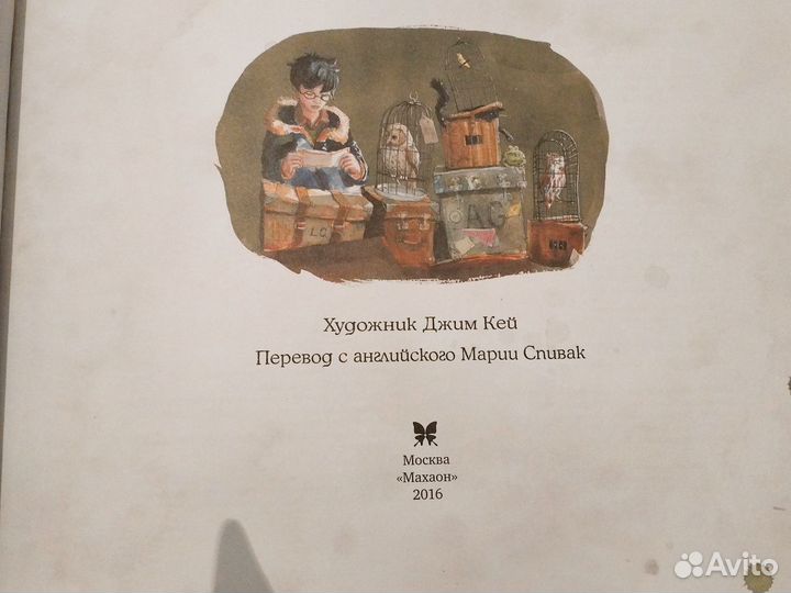 Гарри Поттер и философский камень Джим Кей