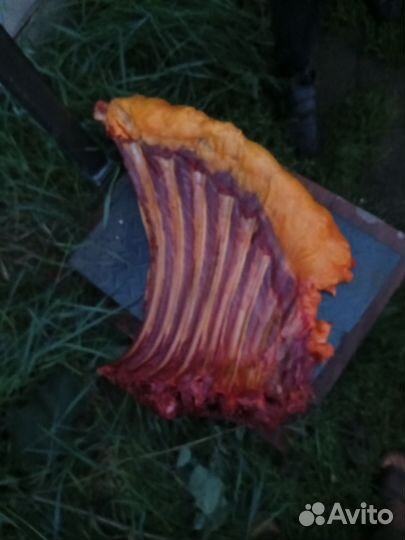 Продам мясо конину