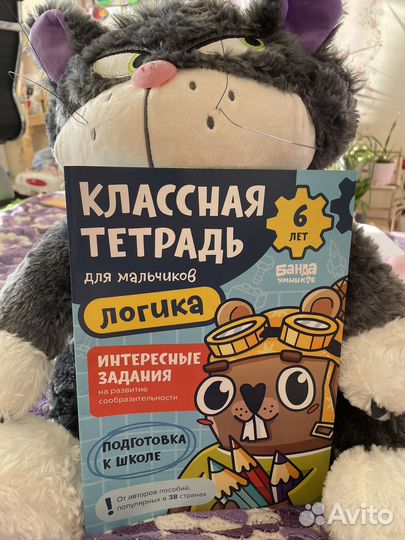 Классная тетрадь для мальчиков. Банда умников