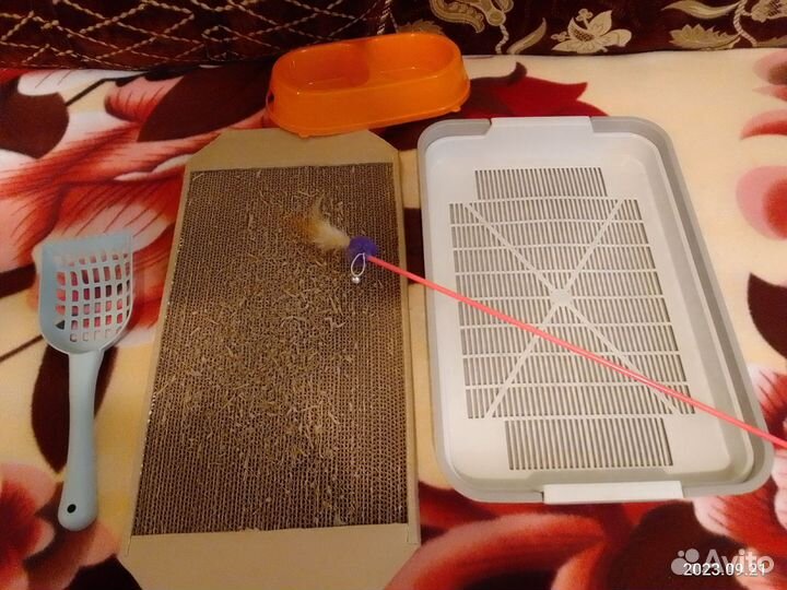 Лоток и прочие принадлежности для вашего питомца