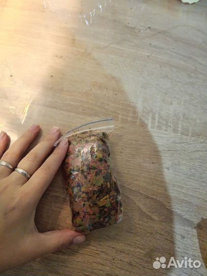 Гуппи и Моллинезия