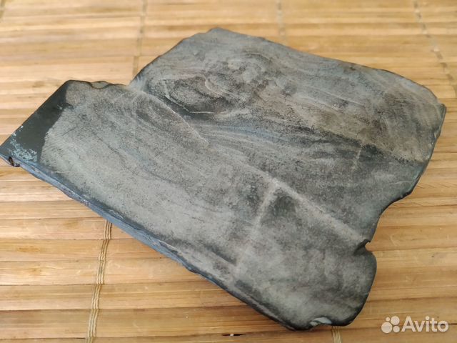 Окаменелое дерево минерал окаменелость образец кам