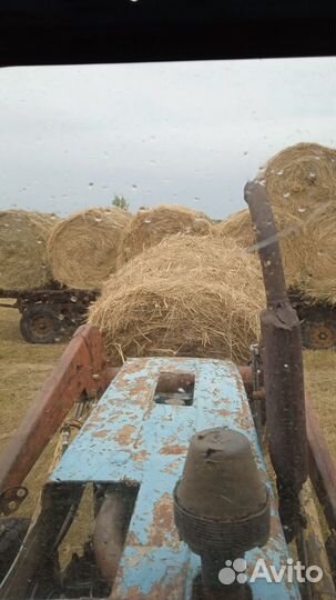 Сено в рулонах