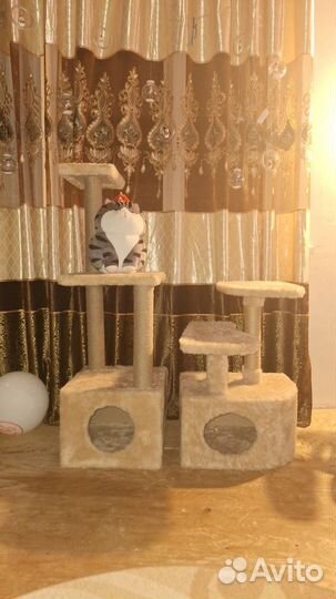 Дом для котов