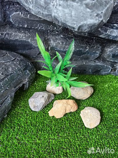 Новый Террариум