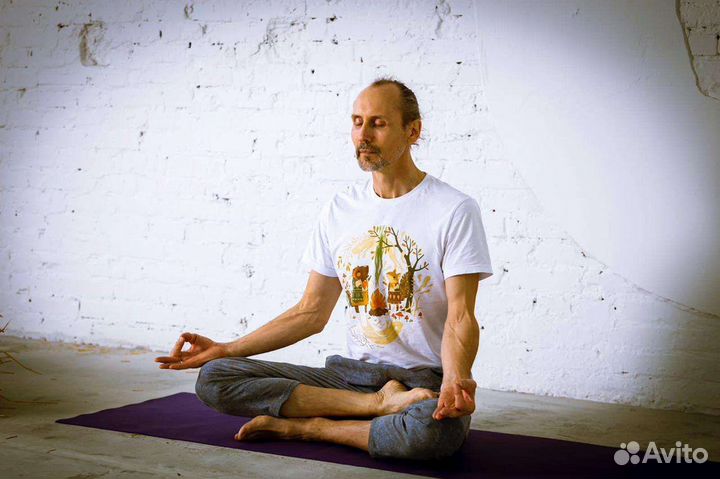 Йога, йога в гамаках, практика более 20 лет