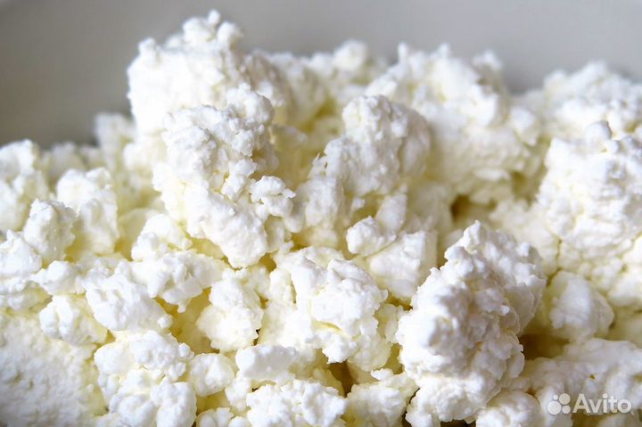 Молоко коровье цельное дойка аппаратная