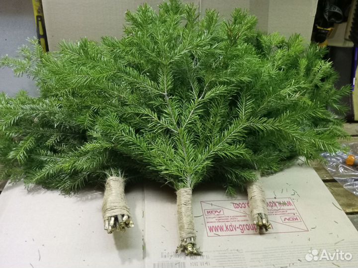 Веники пихтовые 3 шт. от Лесного жителя