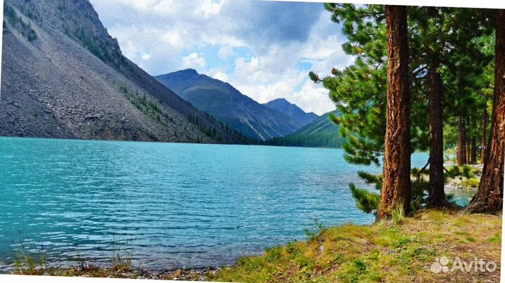 Тур путевка Алтай летний экспедиции от 6 дн