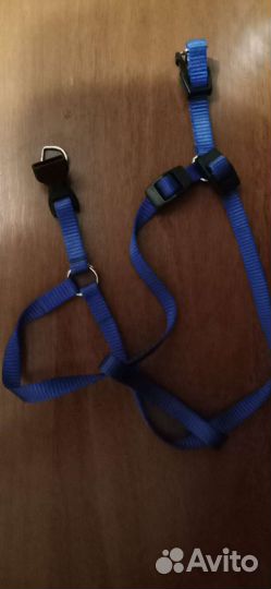 Шлейка для собачки