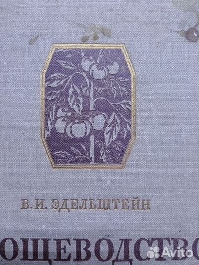 Овощеводство Эдельштейн