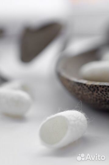 Коконы шелкопряда