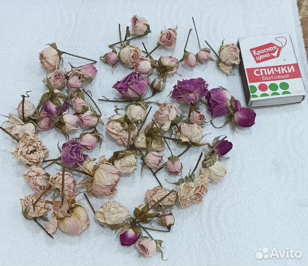 Роза сухоцвет минибутоны