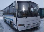 Междугородний / Пригородный автобус ПАЗ 4230, 2003