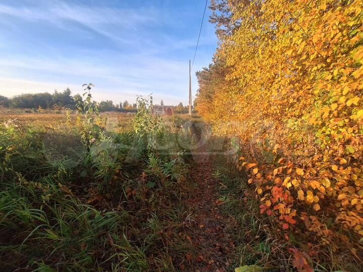Участок 8 сот. (СНТ, ДНП)